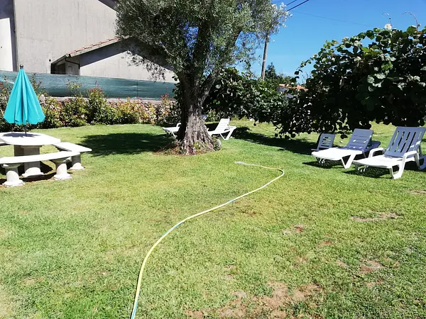 Casa Corujeira — photo 5